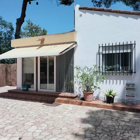 Macondo * Novo Sancti Petri